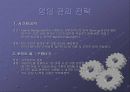 사업계획서-인라인 임대 11페이지