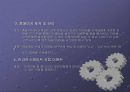 사업계획서-인라인 임대 12페이지
