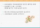[성의 심리학]성문화에 대한 조사 및 프레젠테이션 자료 8페이지