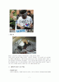 일본의 죽음문화 - 할복,자살,장례문화를 중심으로 7페이지