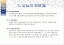 당뇨병 ppt 12페이지