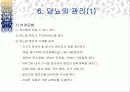 당뇨병 ppt 13페이지