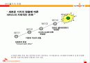 [e비즈니스]e비즈니스모델-온라인문화혁명 싸이월드 분석 25페이지
