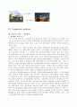 (외식산업 경영사례) Mcdonald 맥도날드의 경영 성공 사례 (SWOT, Analysis,STP 모두 포함) 83페이지