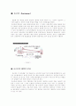호르몬(hormone)에 대하여  1페이지