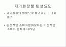 더 페이스 샾의 시장 진입전략과 성공 4페이지