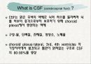 뇌수종 hydrocephalus 3페이지