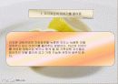 가족치료이론 - 보웬 15페이지