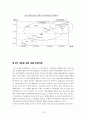도요타의 성공과 실패(사례) 15페이지
