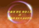 민들레영토 성공전략 1페이지