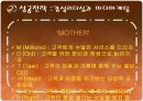 민들레영토 성공전략 8페이지