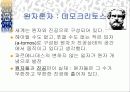 과학의 시작 20페이지