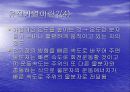전자레인지의 메카니즘 20페이지