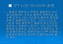 LCD TFT-LCD CRT DVI차이점 8페이지