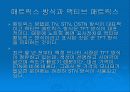 LCD TFT-LCD CRT DVI차이점 16페이지