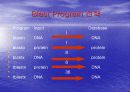 basic local alignment search tool 5페이지