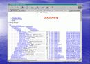basic local alignment search tool 15페이지