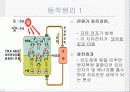 태양전지 8페이지