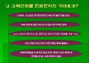 고체산화물형연료전지 19페이지