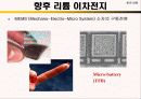 Li – ion 전지 16페이지