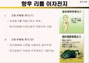 Li – ion 전지 17페이지