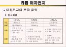 Li – ion 전지 19페이지