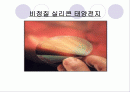 비정질 실리콘 태양전지 1페이지