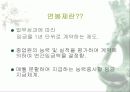 금호타이어의 임금실태조사 5페이지