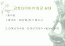 금호타이어의 임금실태조사 10페이지