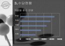 쌍용자동차의 임금체계 및 현황 11페이지
