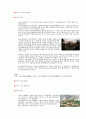 중국각지역 특징조사 19페이지