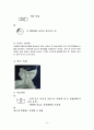 속옷의 요구성능 7페이지