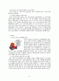 [넥슨]성공적인 마케팅사례분석 (SWOT분석, STP, 4P전략) 23페이지