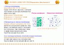 고분자 분리막 6페이지