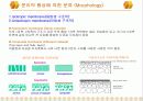 고분자 분리막 7페이지