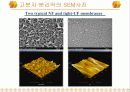 고분자 분리막 16페이지