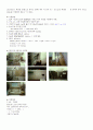 HPLC를 이용한 Salicylic Acid의 분석 3페이지