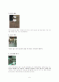 일상속의 비매너 사례 2페이지