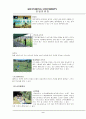 용평리조트의 모든것 9페이지
