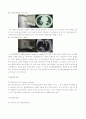인체와 질병 폐암 5페이지