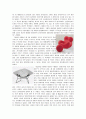 100 Years, 100 Chairs展의 동감, 감동 3페이지