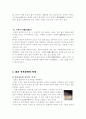 [사회과학] 일본의 목욕문화 5페이지