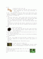 향신료 식문화 24페이지