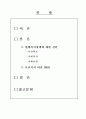 사회복지현행정책에 대한 진단 2페이지