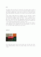 [전자공학실험] 8051실험 - 타이머인터럽트를 사용한 7-SEG 제어 2페이지