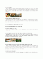 맥도날드의 브랜드 마케팅 전략 6페이지
