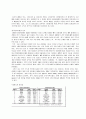 마케팅성공분석(아이리버) 10페이지