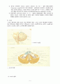 신경과학정리 5페이지