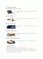 심폐소생술의 목적 원리 교육장비 관련 보고서 2페이지