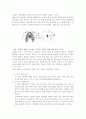 심폐소생술의 목적 원리 교육장비 관련 보고서 11페이지
